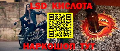 ешки Новодвинск