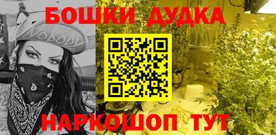 ешки Новодвинск