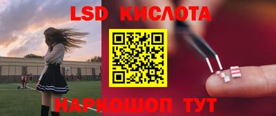 ешки Новодвинск